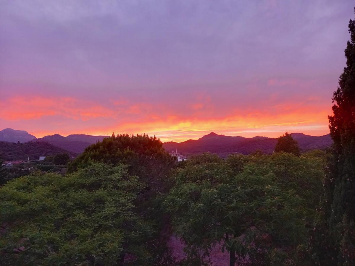 Apartament L'Albaida, Tranquility, Views Of Sea And Mountains Vilanova de Escornalbou Zewnętrze zdjęcie