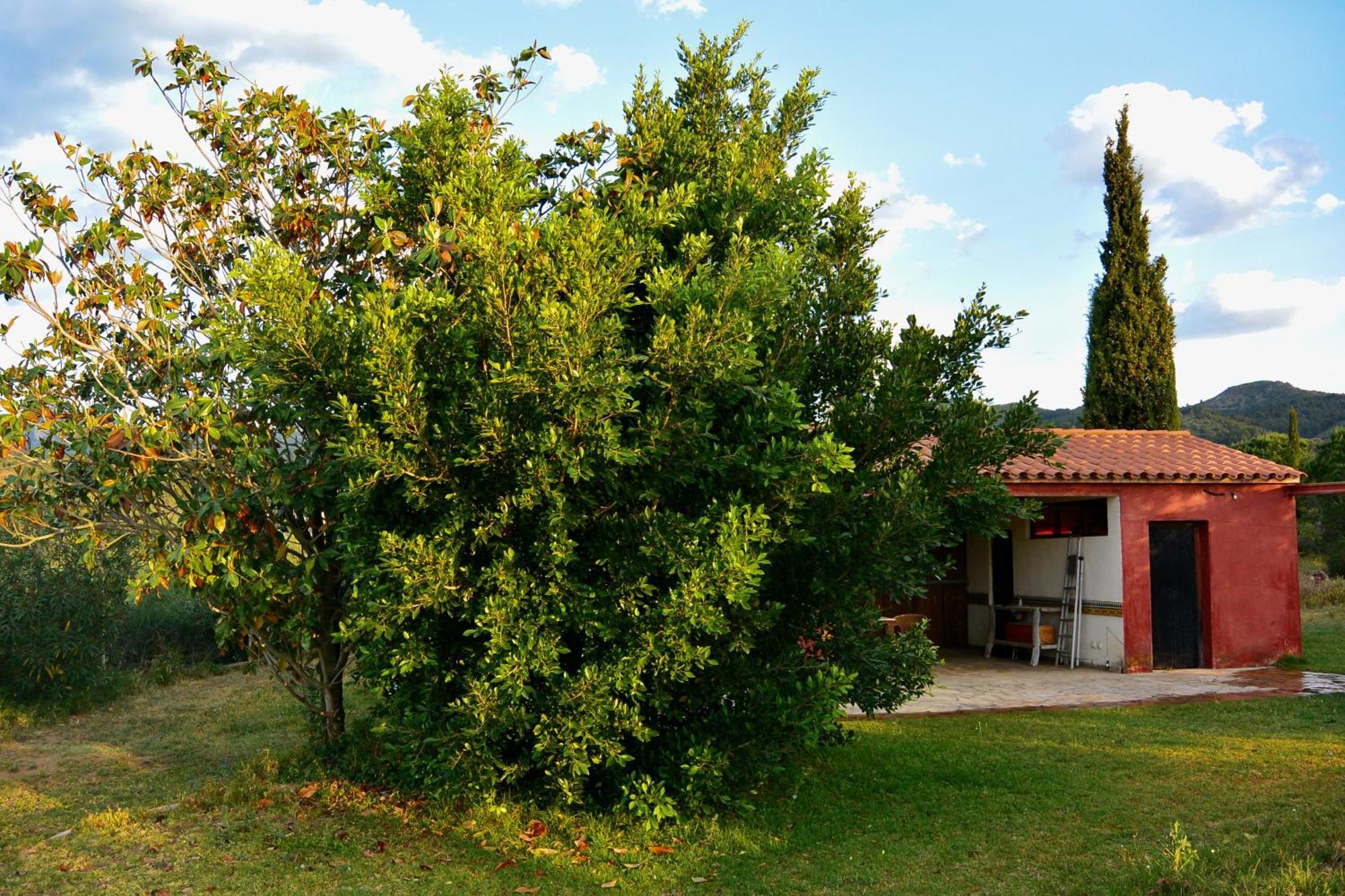 Apartament L'Albaida, Tranquility, Views Of Sea And Mountains Vilanova de Escornalbou Pokój zdjęcie